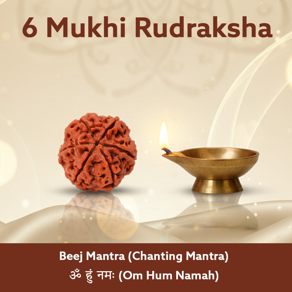6 Mukhi Nepali Rudraksha