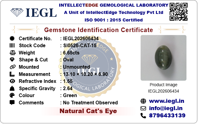 Cats Eye - 6.65 Carat