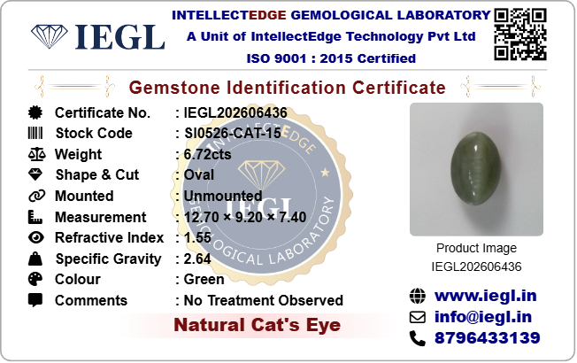 Cats Eye - 6.72 Carat