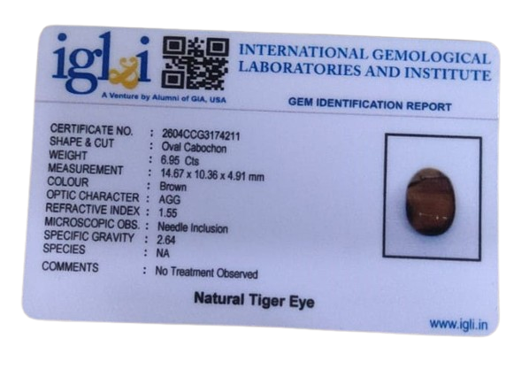 Tiger Eye - 6.95 Carat