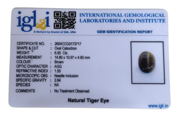 Tiger Eye - 6.95 Carats