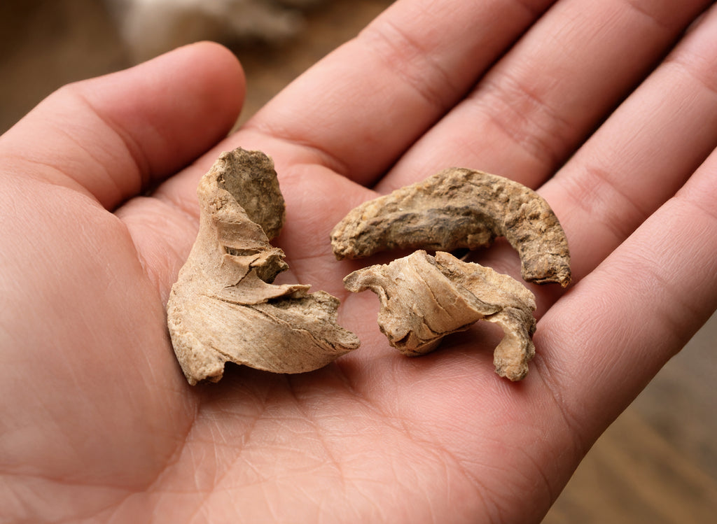 Bharangi Root - Bharangi Ki Jad