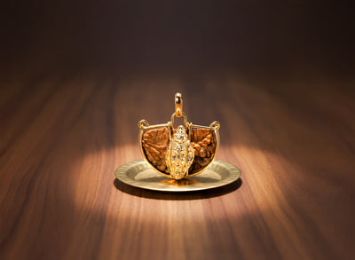 1 Mukhi (Shiv) Rudraksha