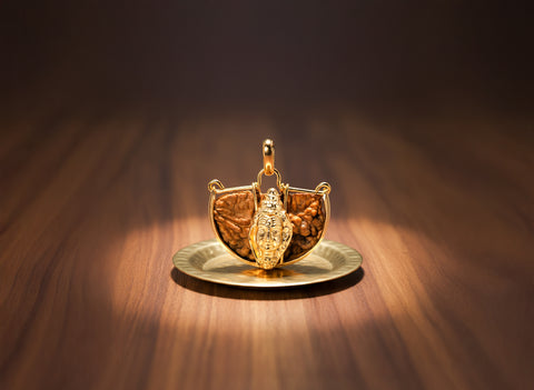 1 Mukhi (Shiv) Rudraksha