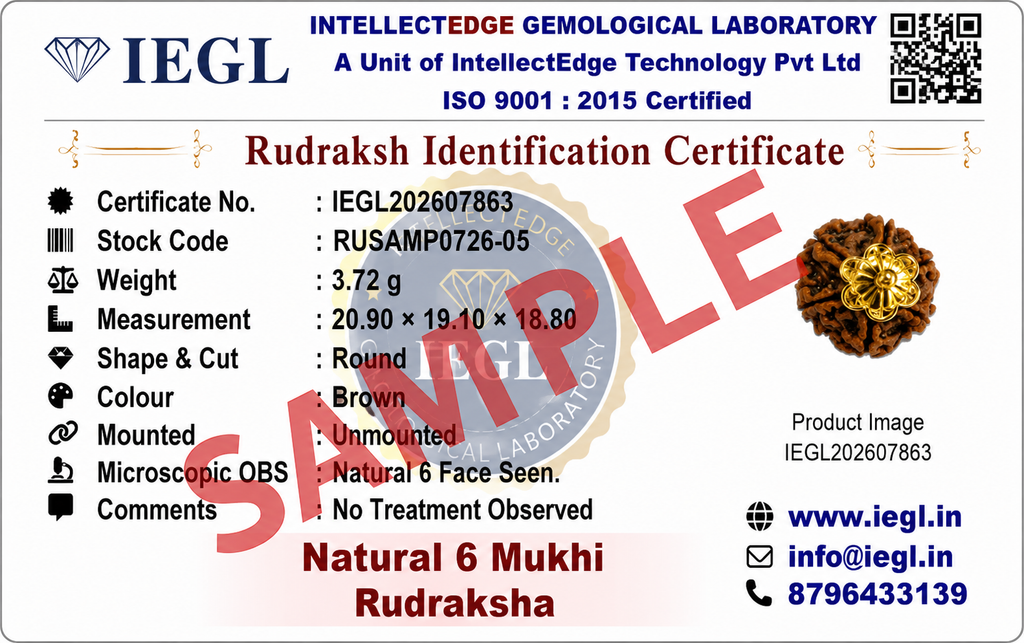 6 Mukhi Rudraksha (Nepali)