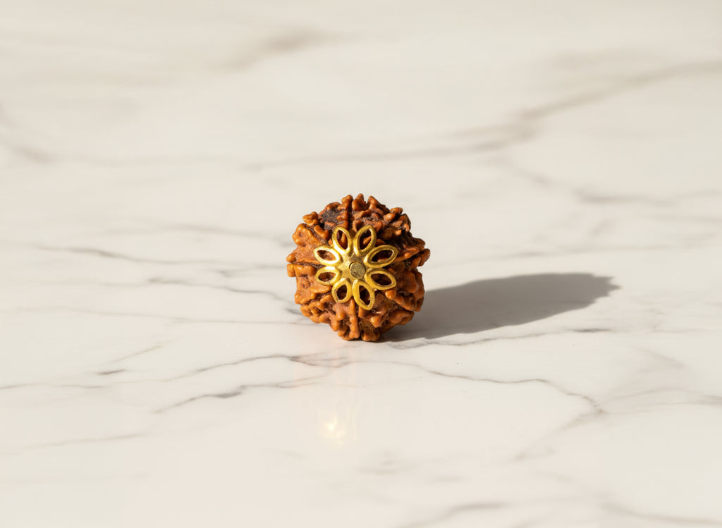 8 Mukhi Original Nepali Rudraksha