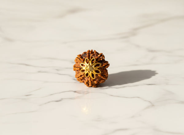 8 Mukhi Original Nepali Rudraksha