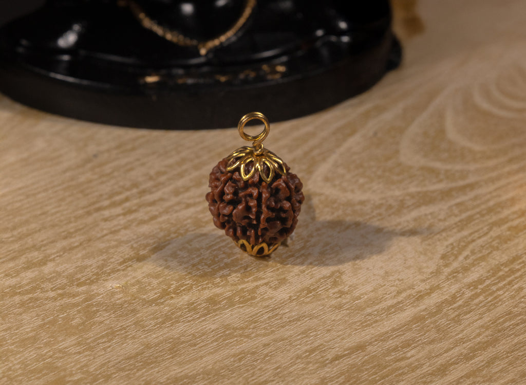 7 Mukhi Original Nepali Rudraksha