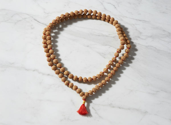 6 Mukhi Rudraksha Mala, 8mm (54 Beads)