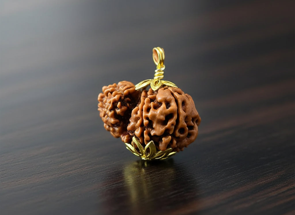Garbh-Gauri Original Nepali Rudraksha