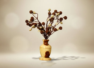 Kodi Rudraksha Tree (54 Beads)