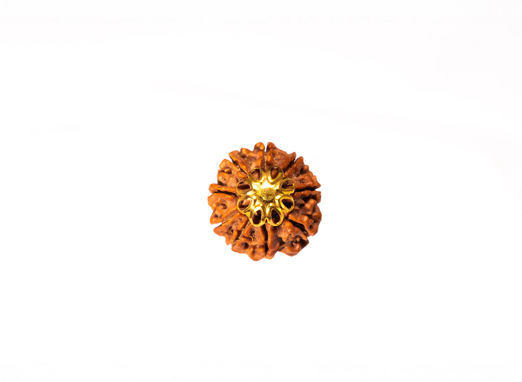 9 Mukhi Rudraksha (Nepali)