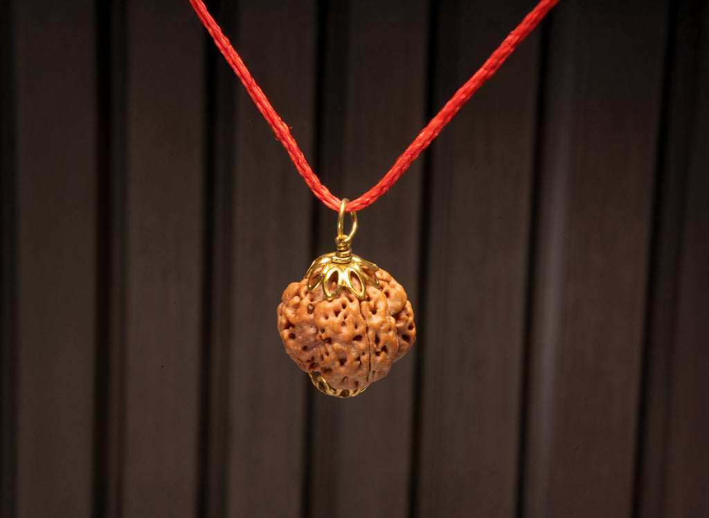 4 Mukhi Original Nepali Rudraksha