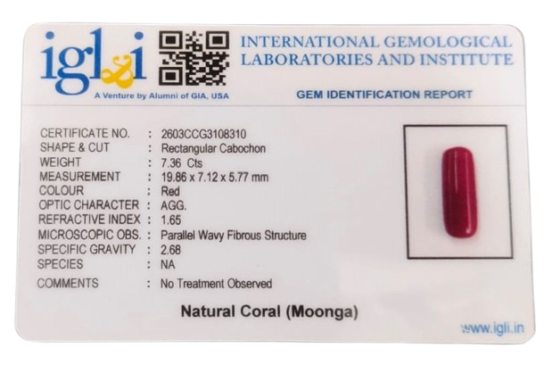 Coral Moonga 7.36 Carat