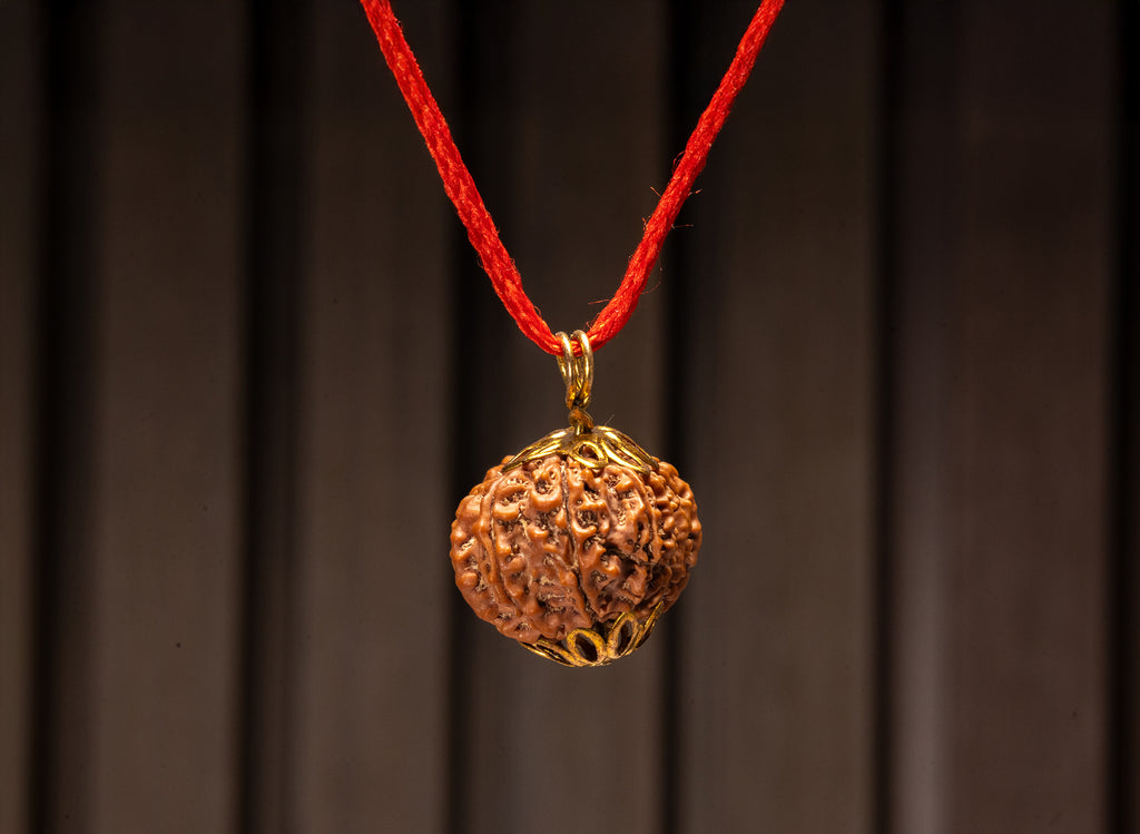 13 Mukhi Natural Nepali Rudraksha