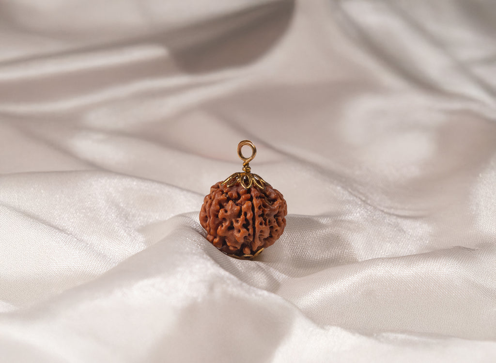5 Mukhi Nepali Rudraksha