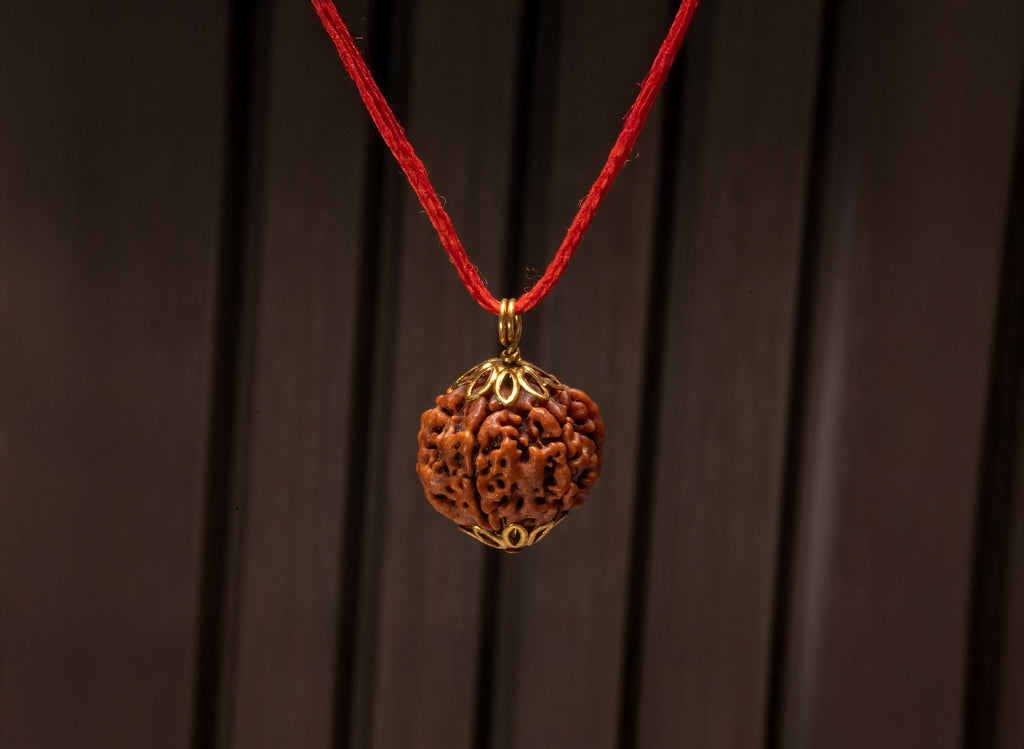 6 Mukhi Nepali Rudraksha