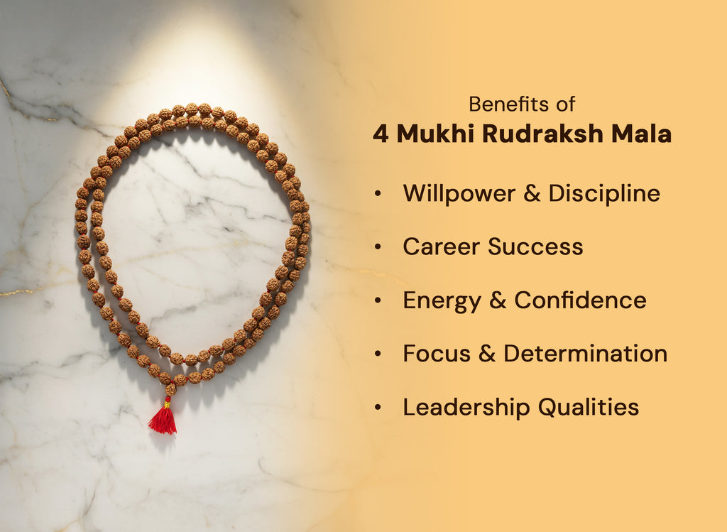 Char Mukhi Rudraksh Mala Beads (108 Beads)