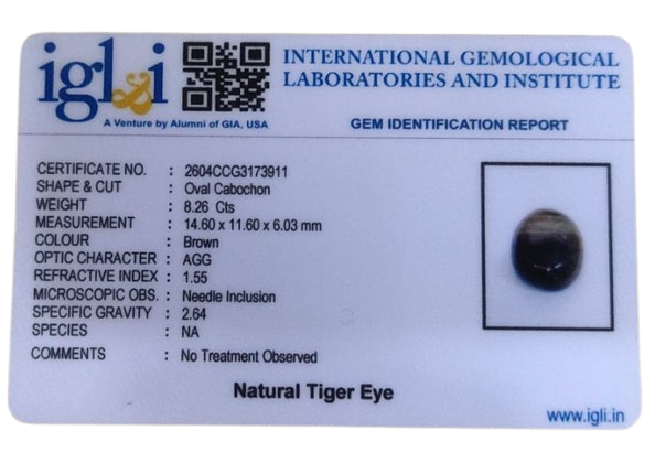 Tiger Eye - 8.26 Carat