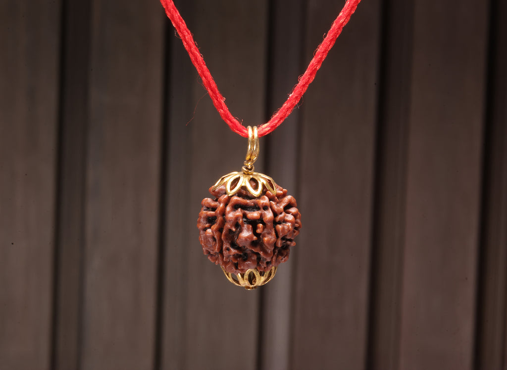 7 Mukhi Original Nepali Rudraksha