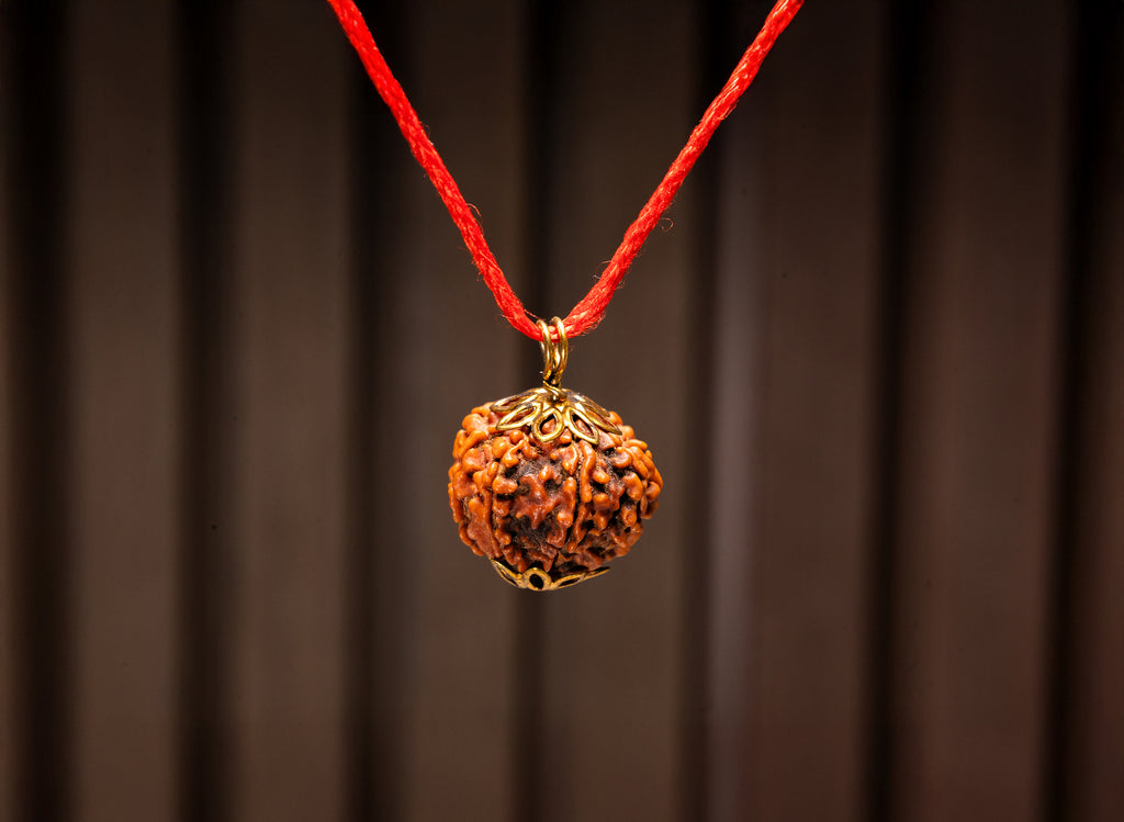 8 Mukhi Original Nepali Rudraksha