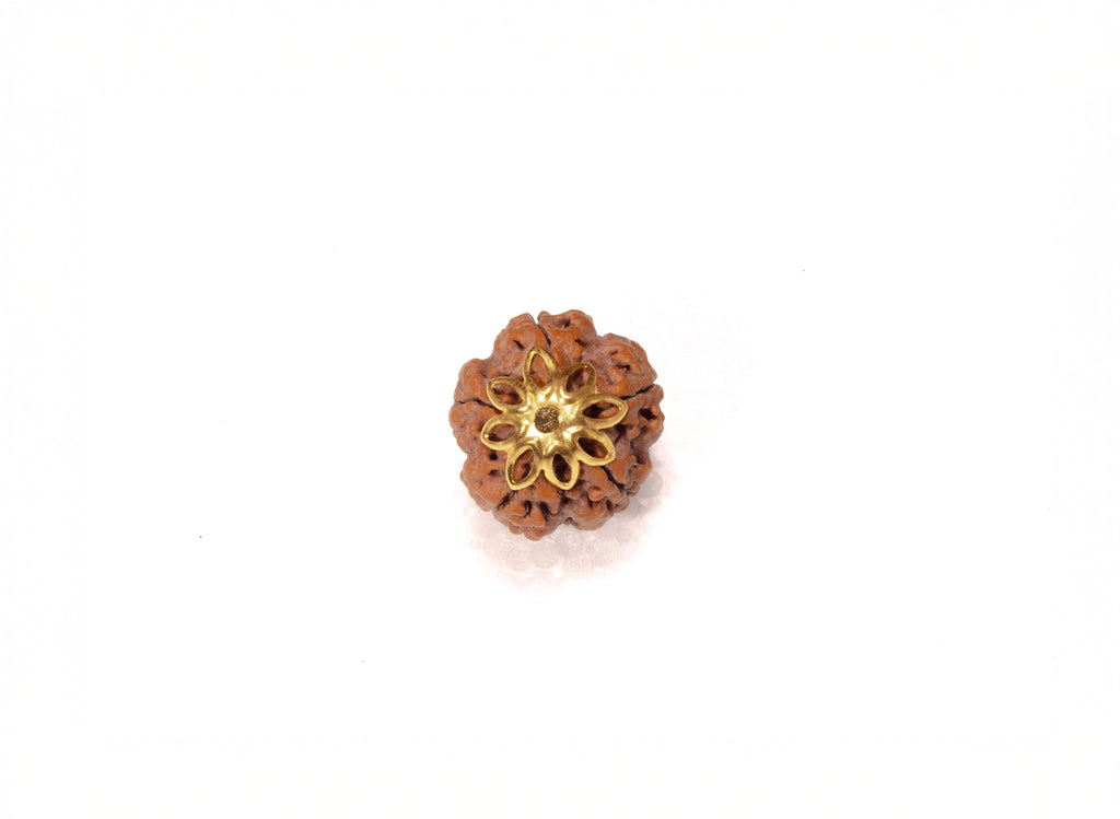 5 Mukhi Nepali Rudraksha