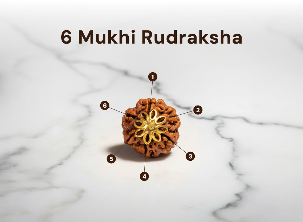 6 Mukhi Nepali Rudraksha