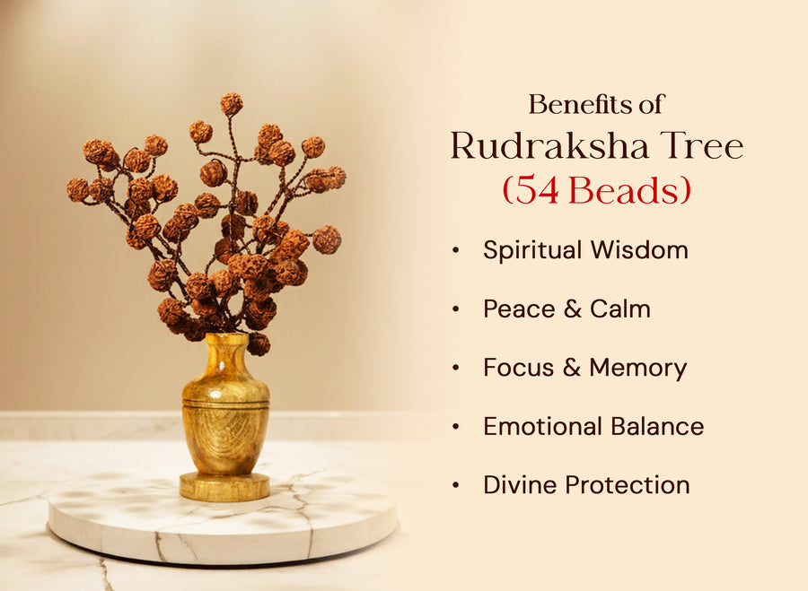 Rudraksha Tree (54 Beads) – Without Color