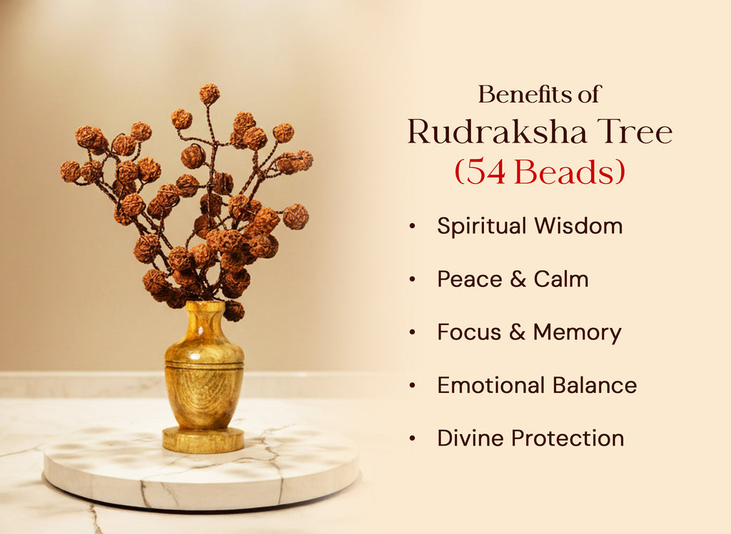 Rudraksha Tree (54 Beads) – Without Color