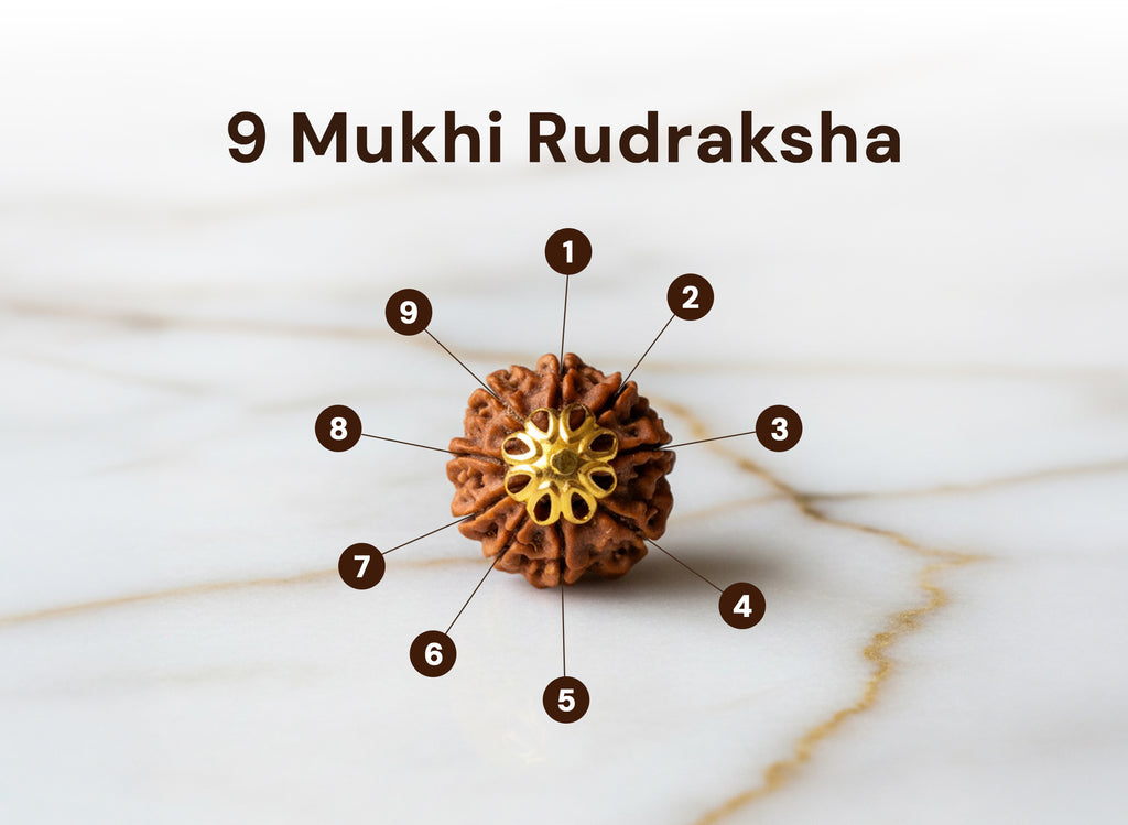 9 Mukhi Original Nepali Rudraksha