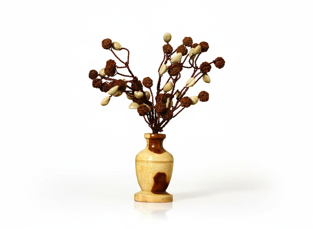 Kodi Rudraksha Tree (54 Beads)