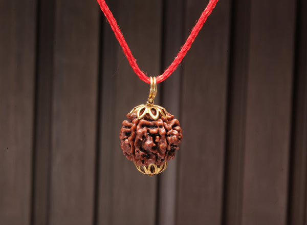 Wealth Guard Bundle – Money + Protection Trio (7 Mukhi Rudraksha+Citrine Bracelet+Shree Yantra)