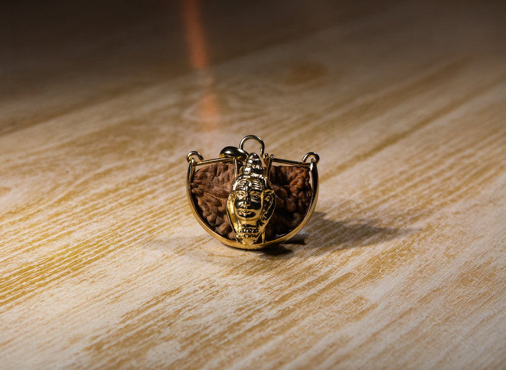 1 Mukhi (Shiv) Rudraksha