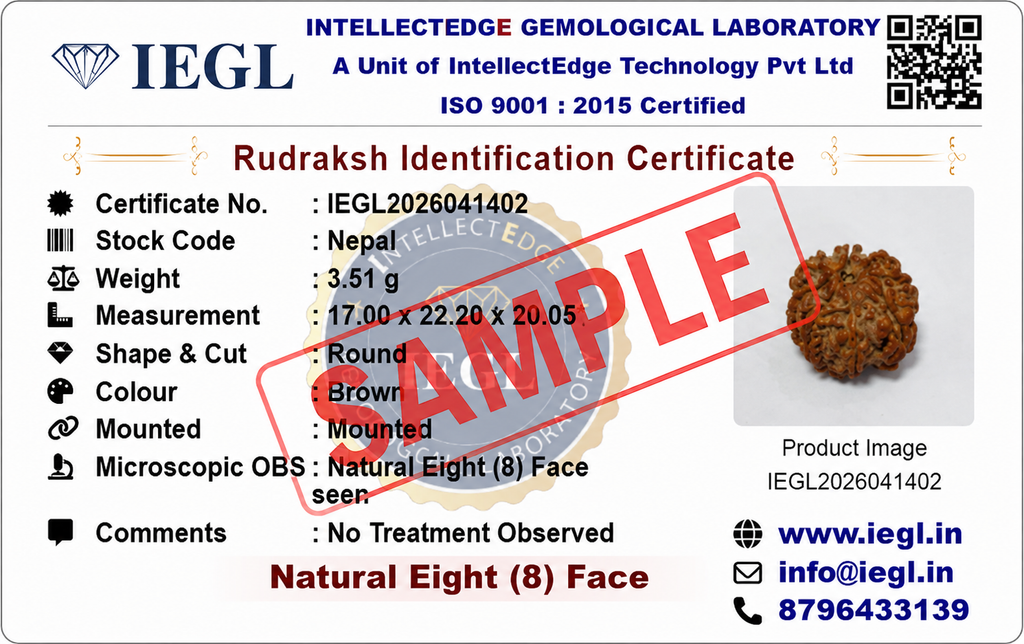 8 Mukhi Rudraksha (Nepali)