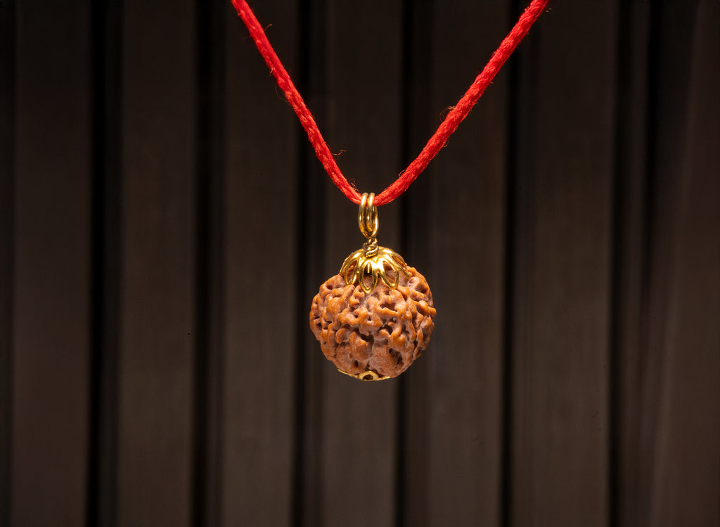 5 Mukhi Rudraksha (Nepali)