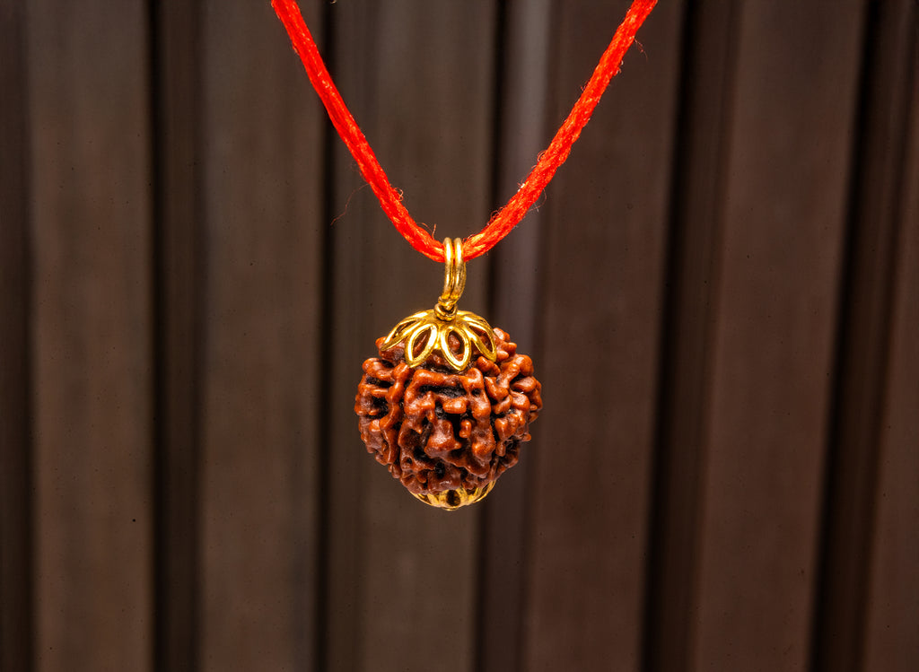 7 Mukhi Original Nepali Rudraksha