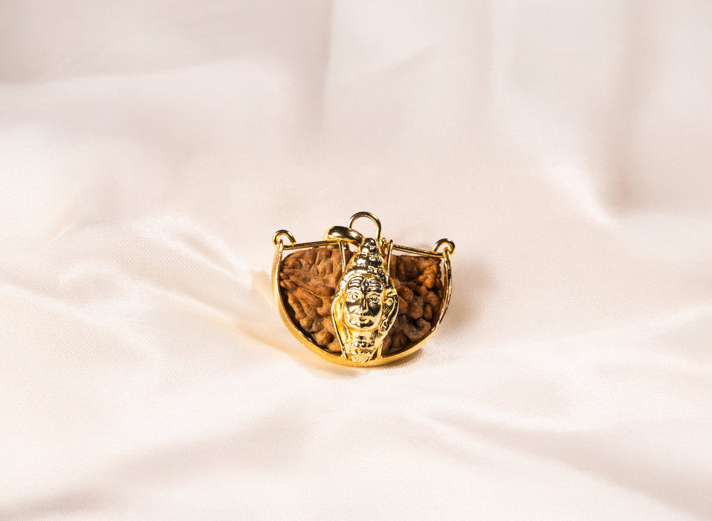 1 Mukhi (Shiv) Rudraksha