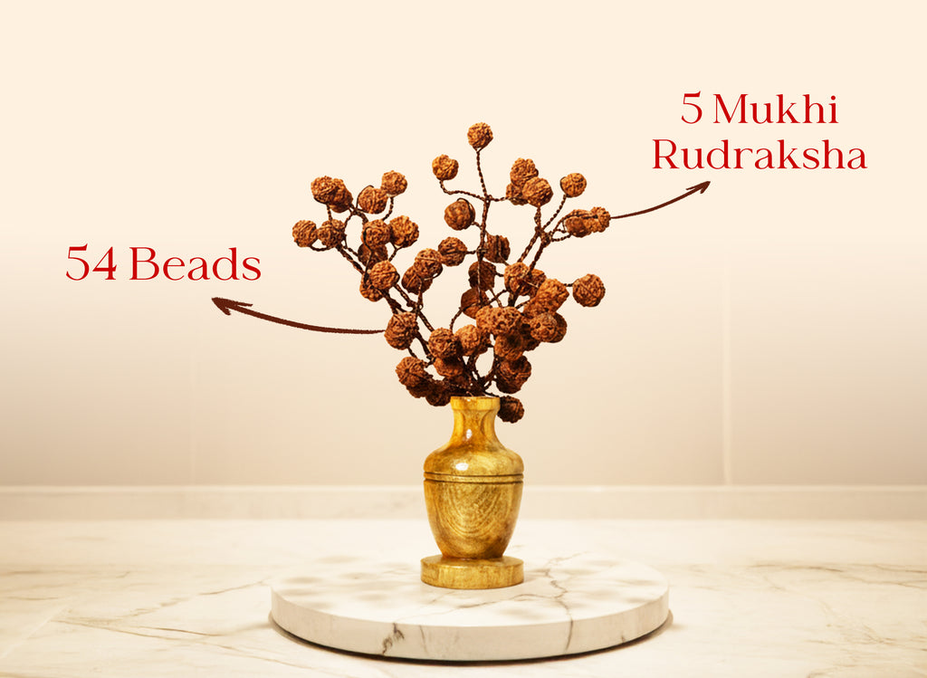 Rudraksha Tree (54 Beads) – Without Color