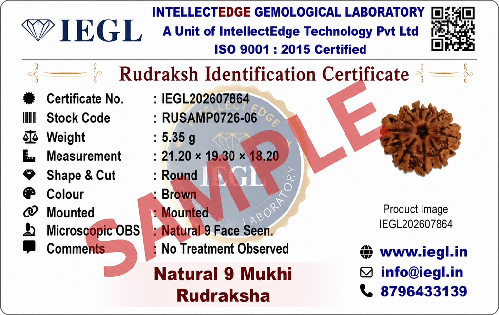 9 Mukhi Rudraksha (Nepali)