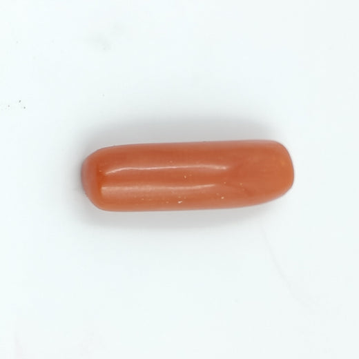Red Coral - 4.88 Carat