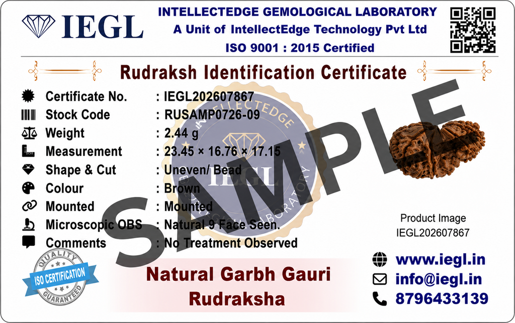 Garbh-Gauri Original Nepali Rudraksha