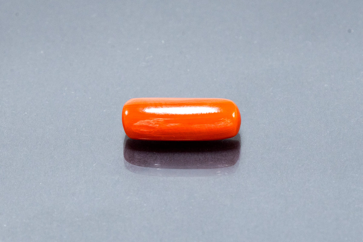 Red Coral - 7.21 Carat