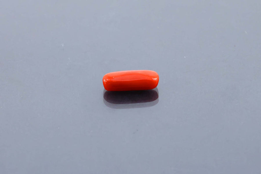 Red Coral - 3.45 Carat