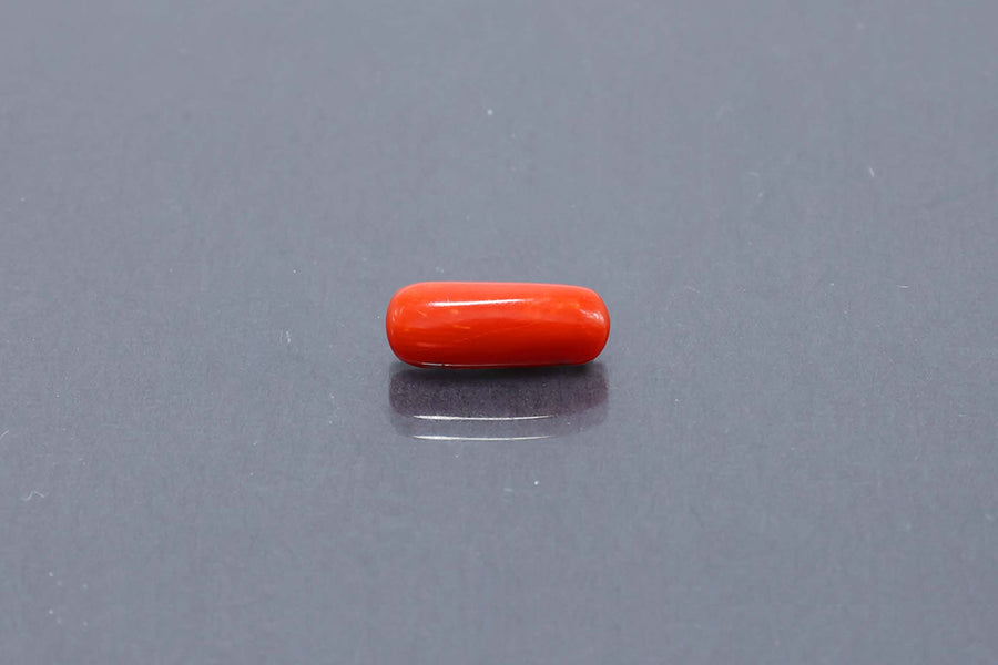 Red Coral - 3.14 Carat