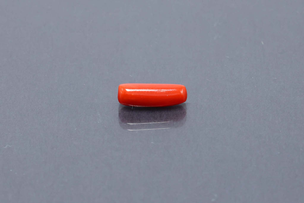 Red Coral - 3.14 Carat