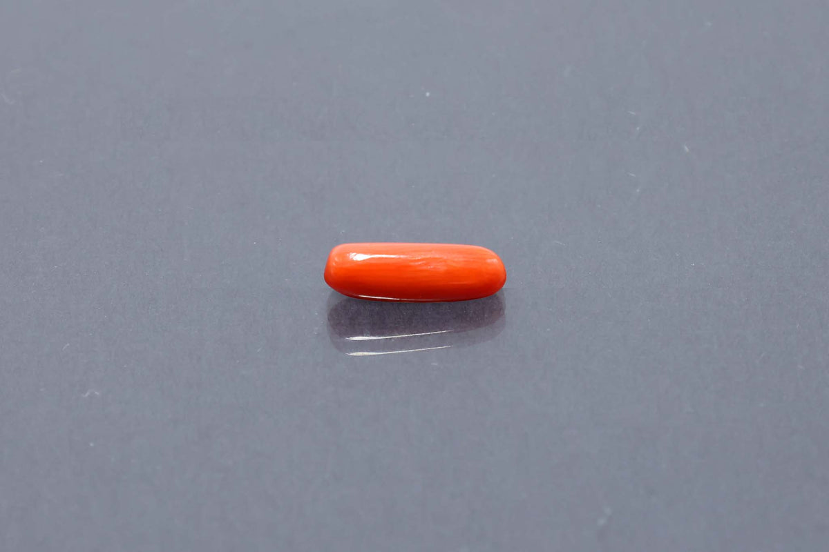 Red Coral - 3.17 Carat