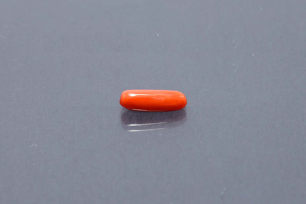 Red Coral - 3.17 Carat