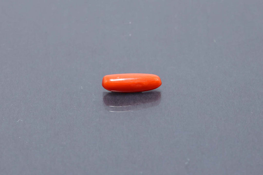 Red Coral - 3.17 Carat