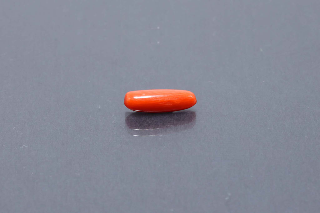 Red Coral - 3.17 Carat