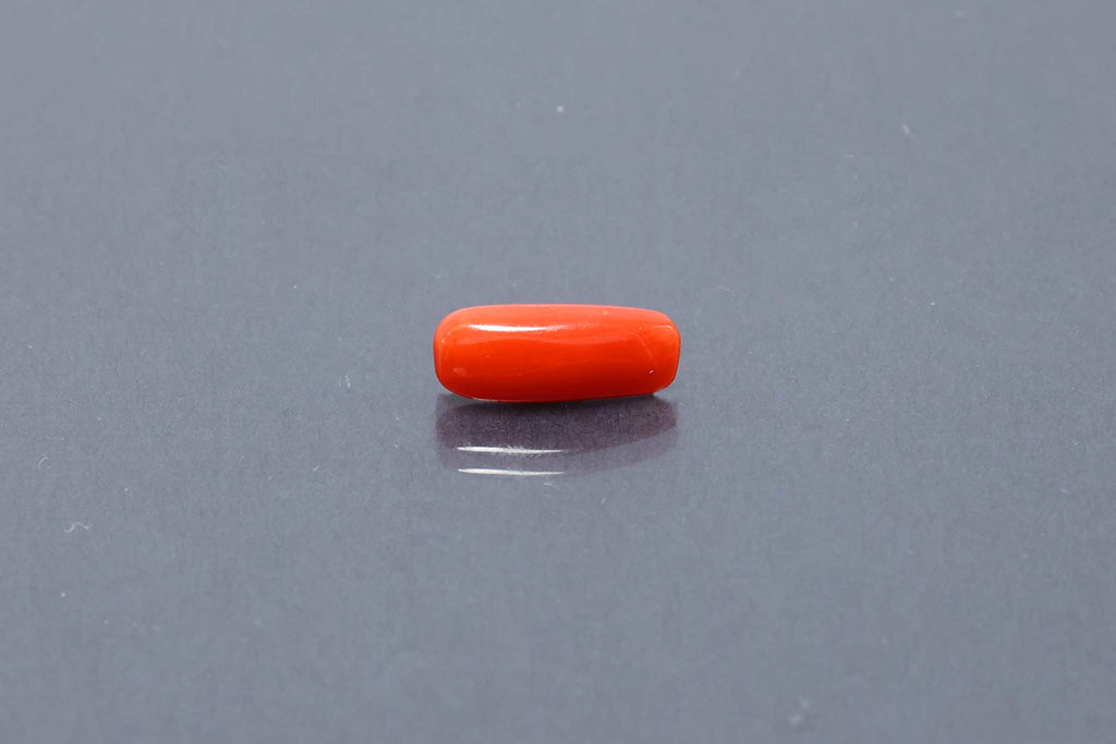 Red Coral - 3.16 Carat